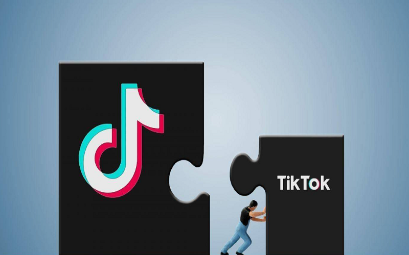 tiktok客户端研发tiktok跨境电商官网